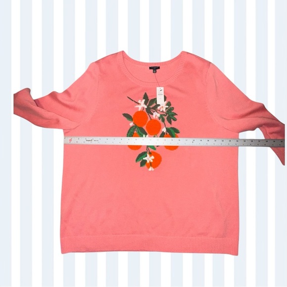 NWT Talbots BOLD ORANGES CREWNECK PULLOVER SWEATER 2X Pink/Orange - Picture 8 of 13